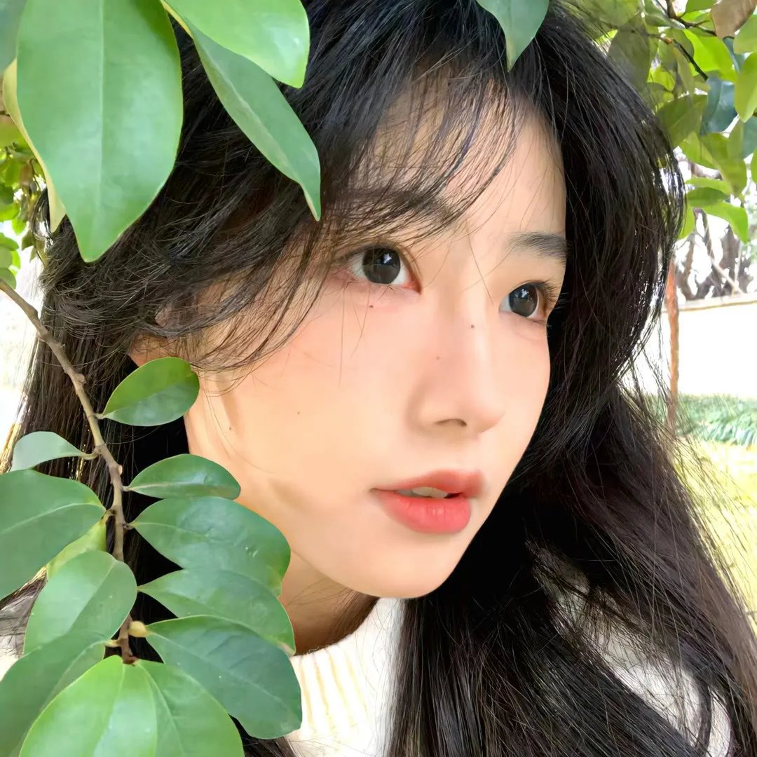 年度热榜